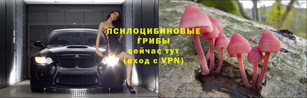 прущий лед Алексеевка
