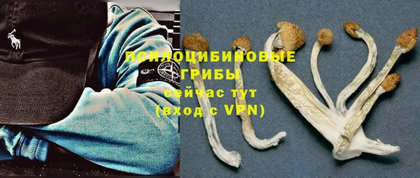 МДПВ Алексин
