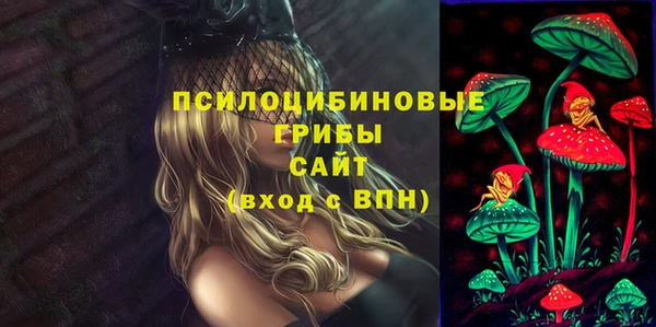 прущий лед Алексеевка