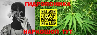 apvp Лесосибирск