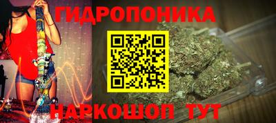 apvp Лесосибирск