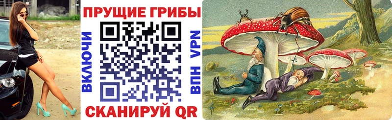 Галлюциногенные грибы прущие грибы  Слободской 
