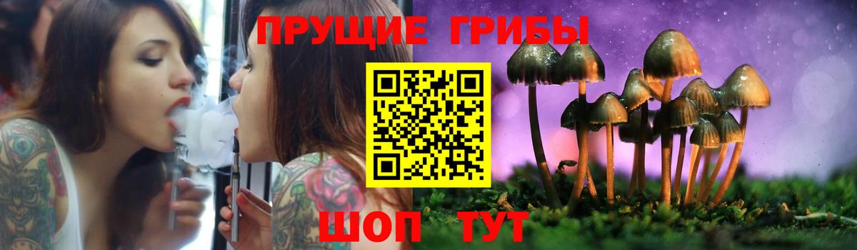 Галлюциногенные грибы Psilocybe  где можно купить   Вход с VPN  Слободской  Галлюциногенные грибы мицелий 